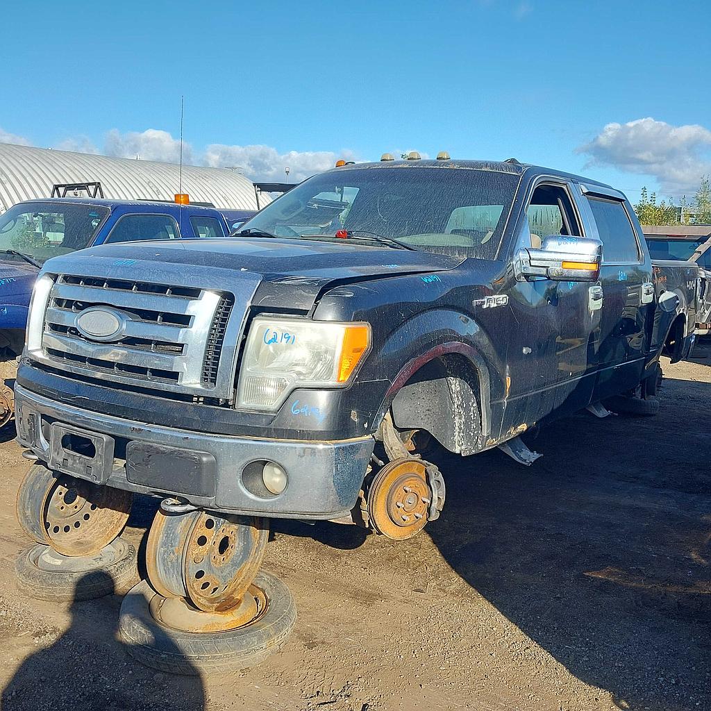 FORD F-150 2009