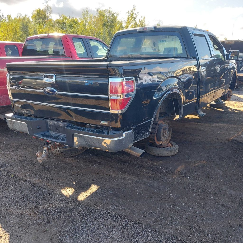 FORD F-150 2009