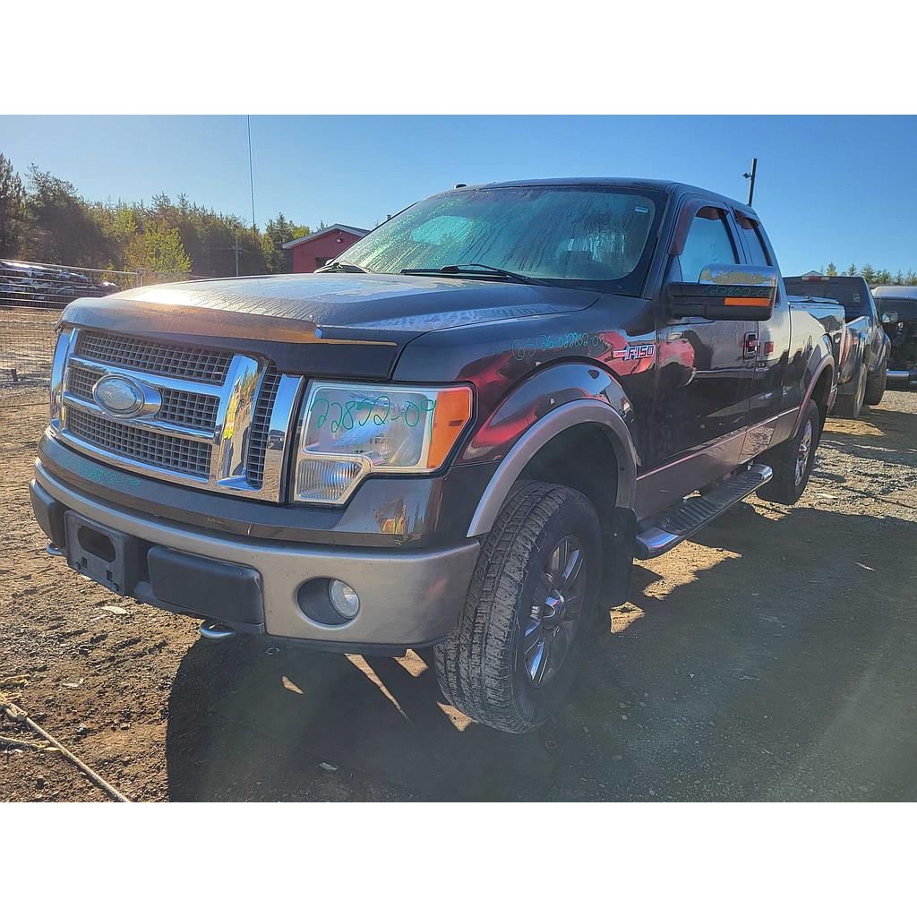 FORD F-150 2009