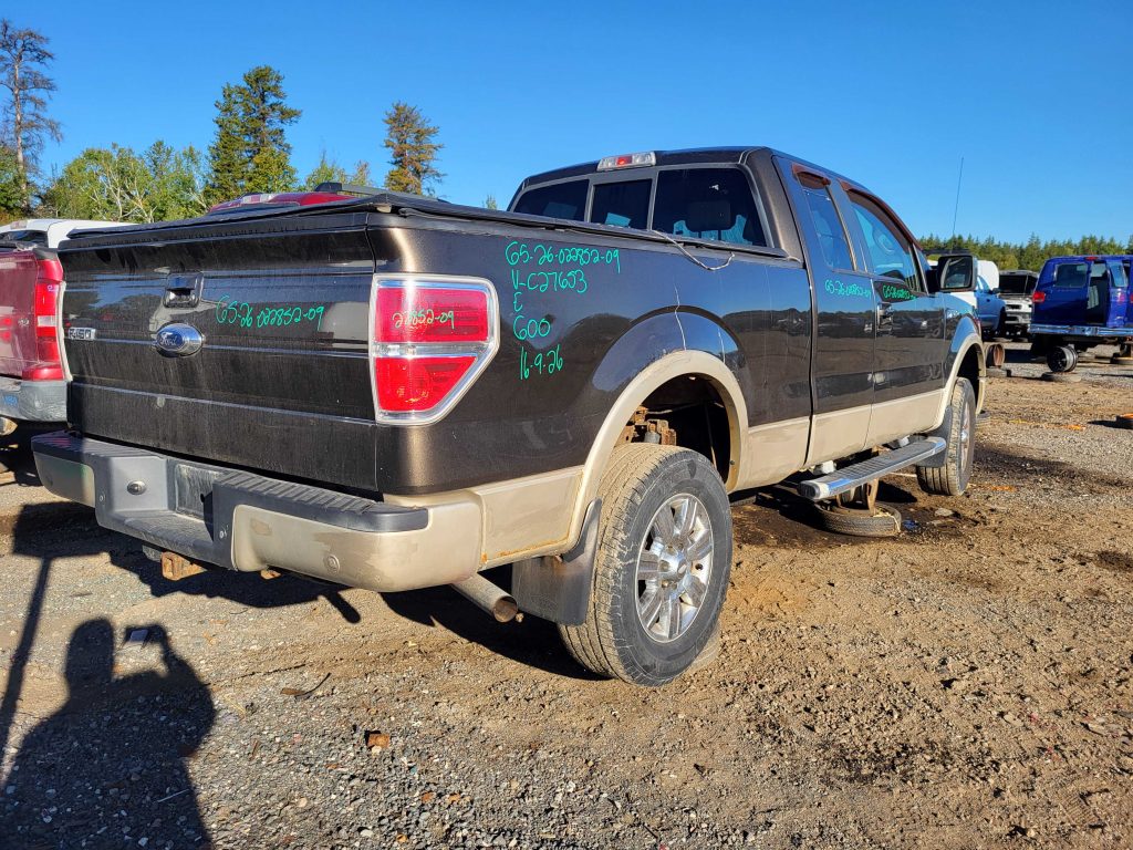 FORD F-150 2009