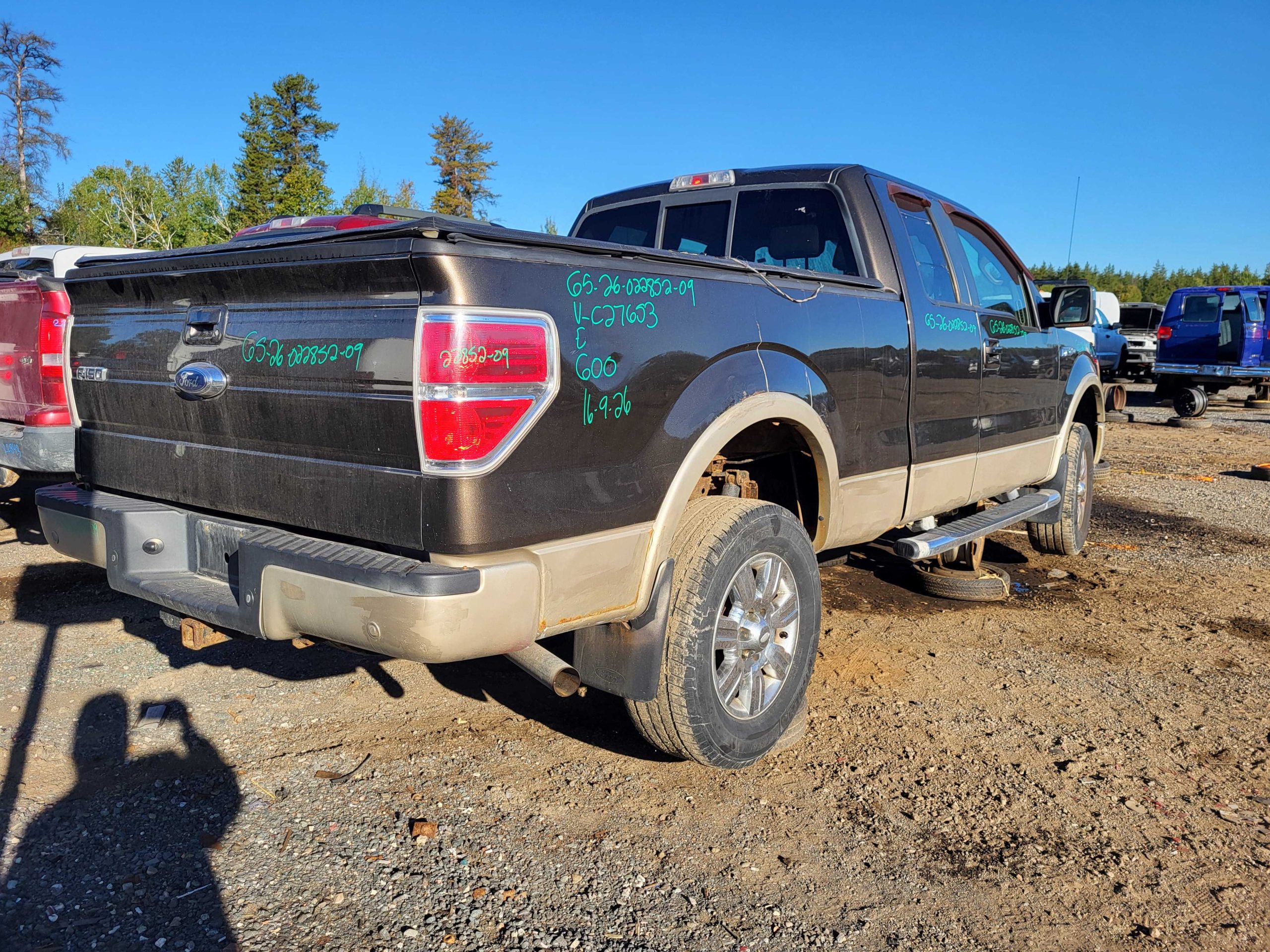 FORD F-150 2009