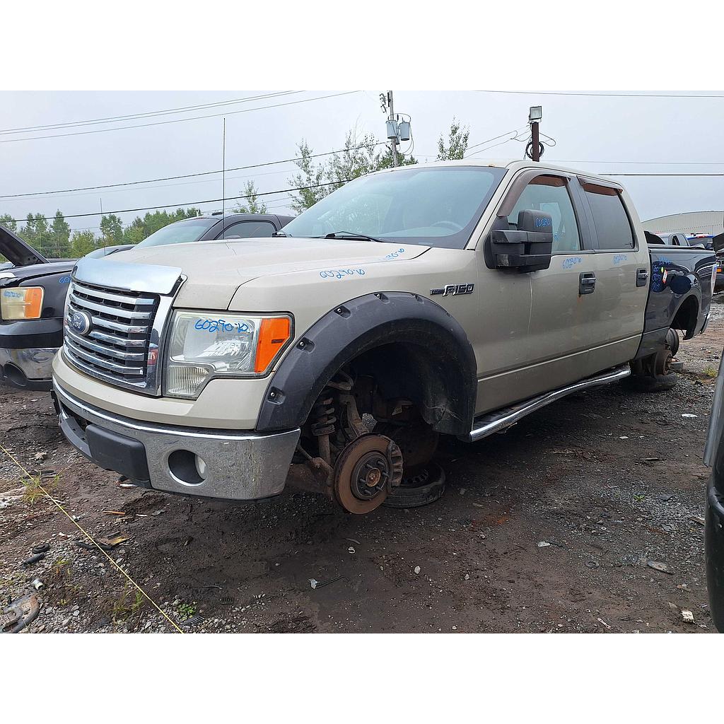 FORD F-150 2010