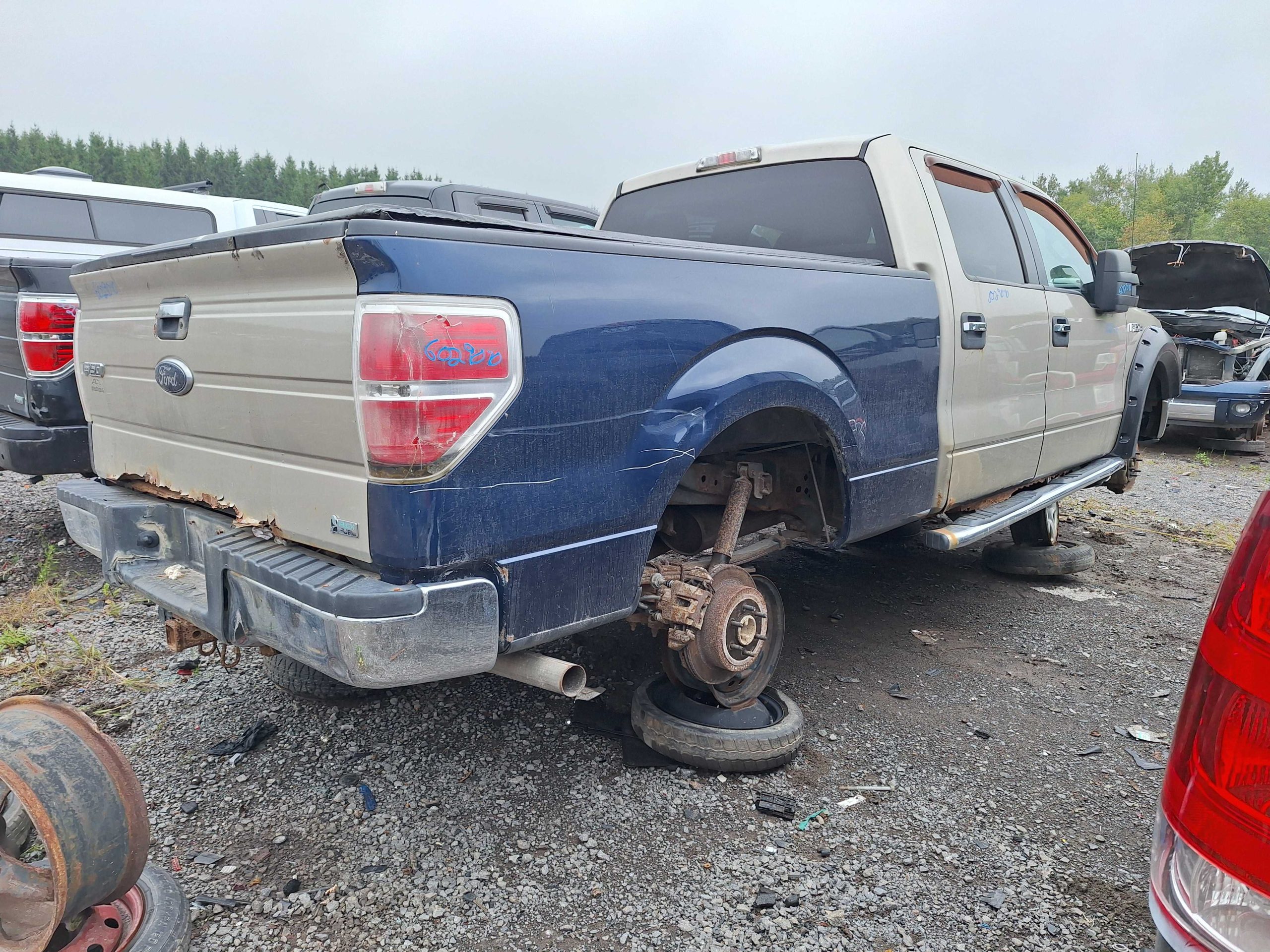 FORD F-150 2010