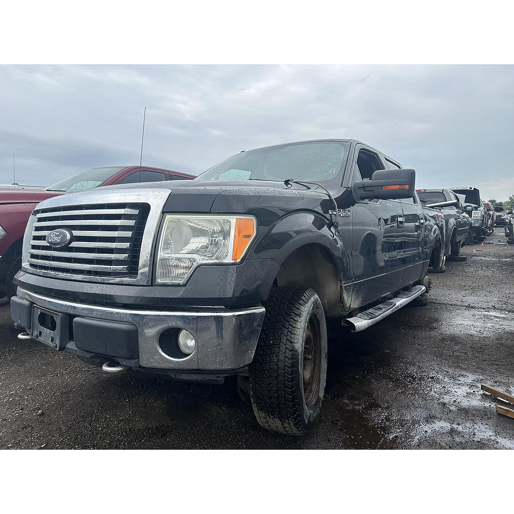 FORD F-150 2010