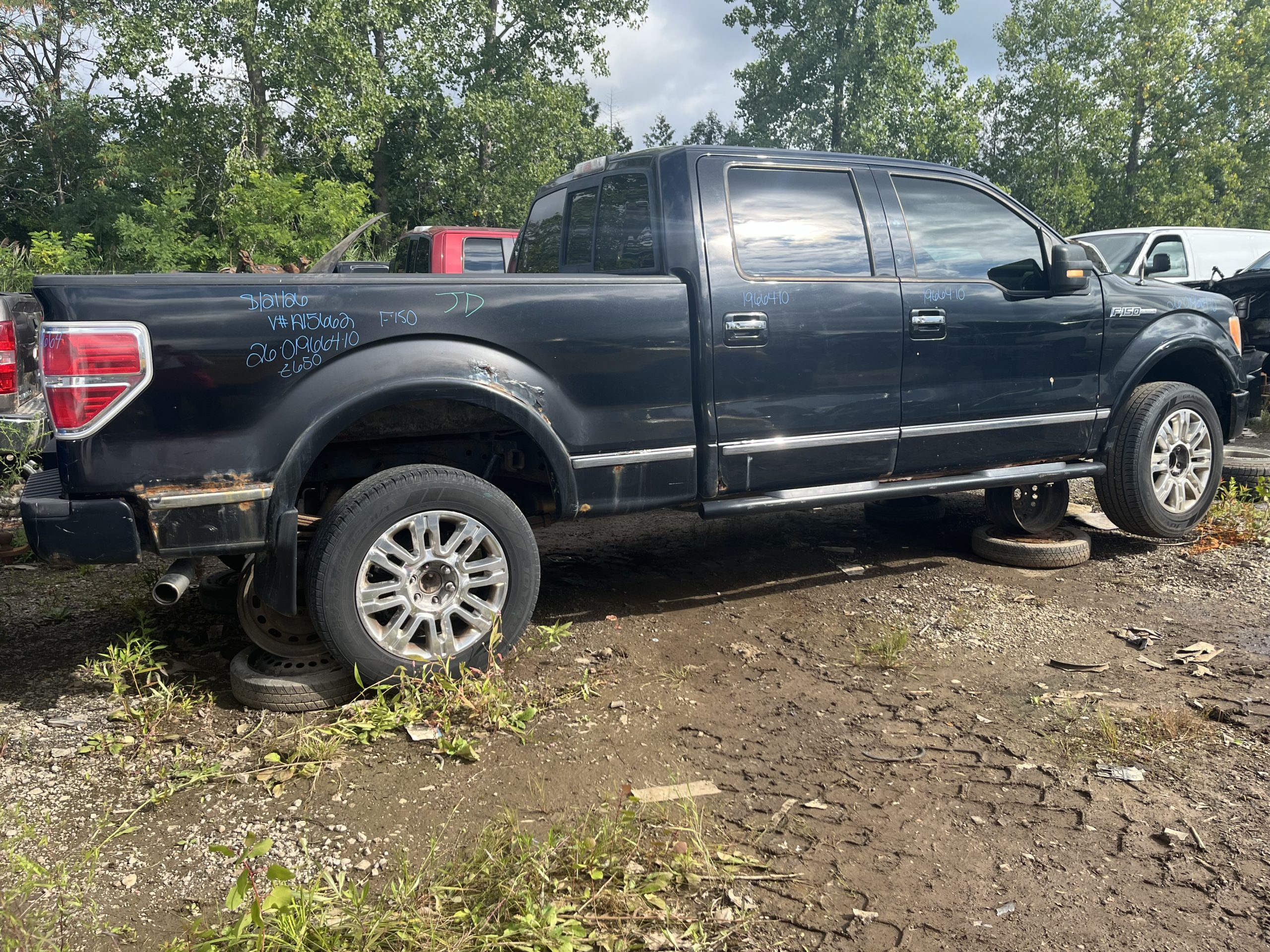 FORD F-150 2010