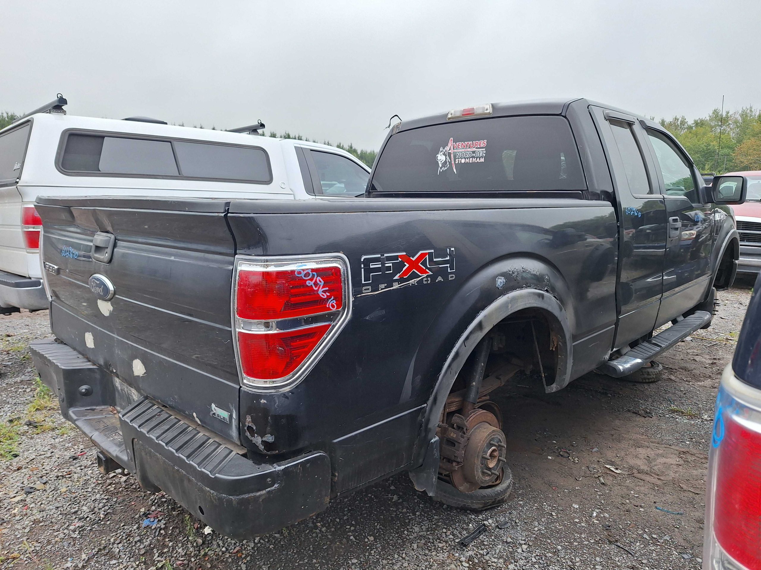FORD F-150 2010
