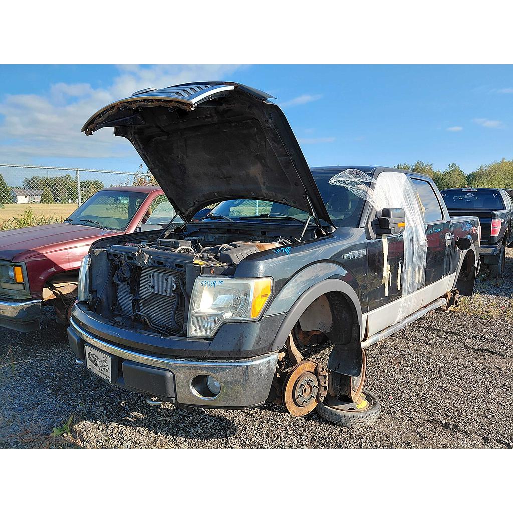 FORD F-150 2010