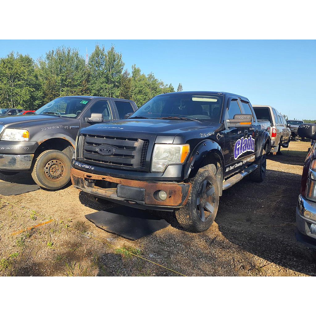 FORD F-150 2010