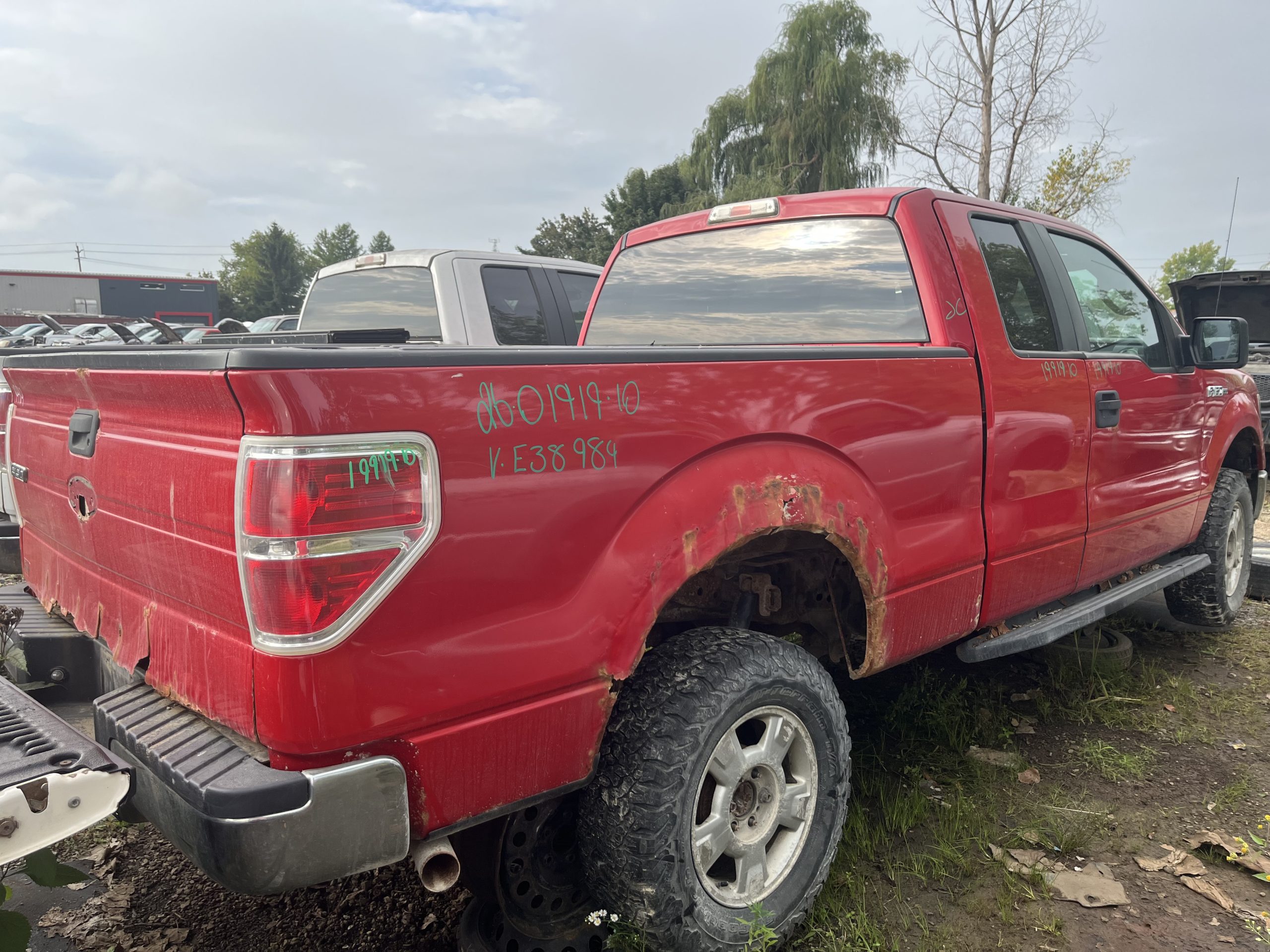 FORD F-150 2010