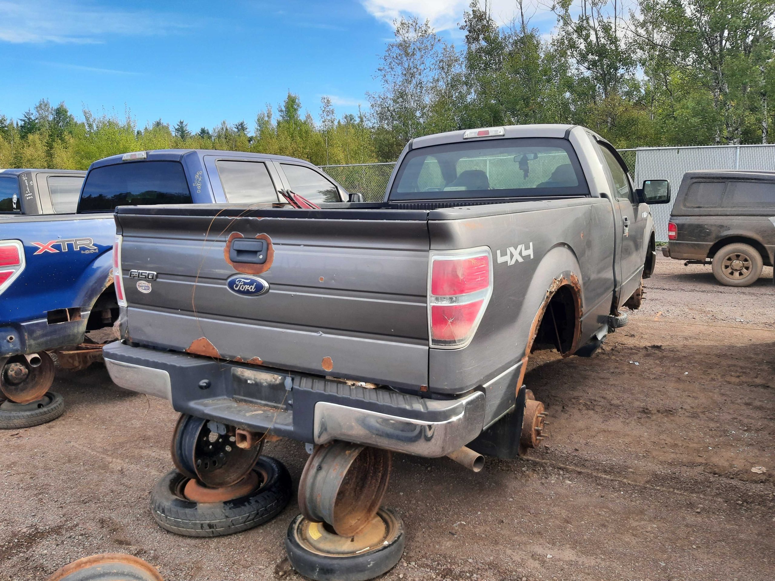 FORD F-150 2010