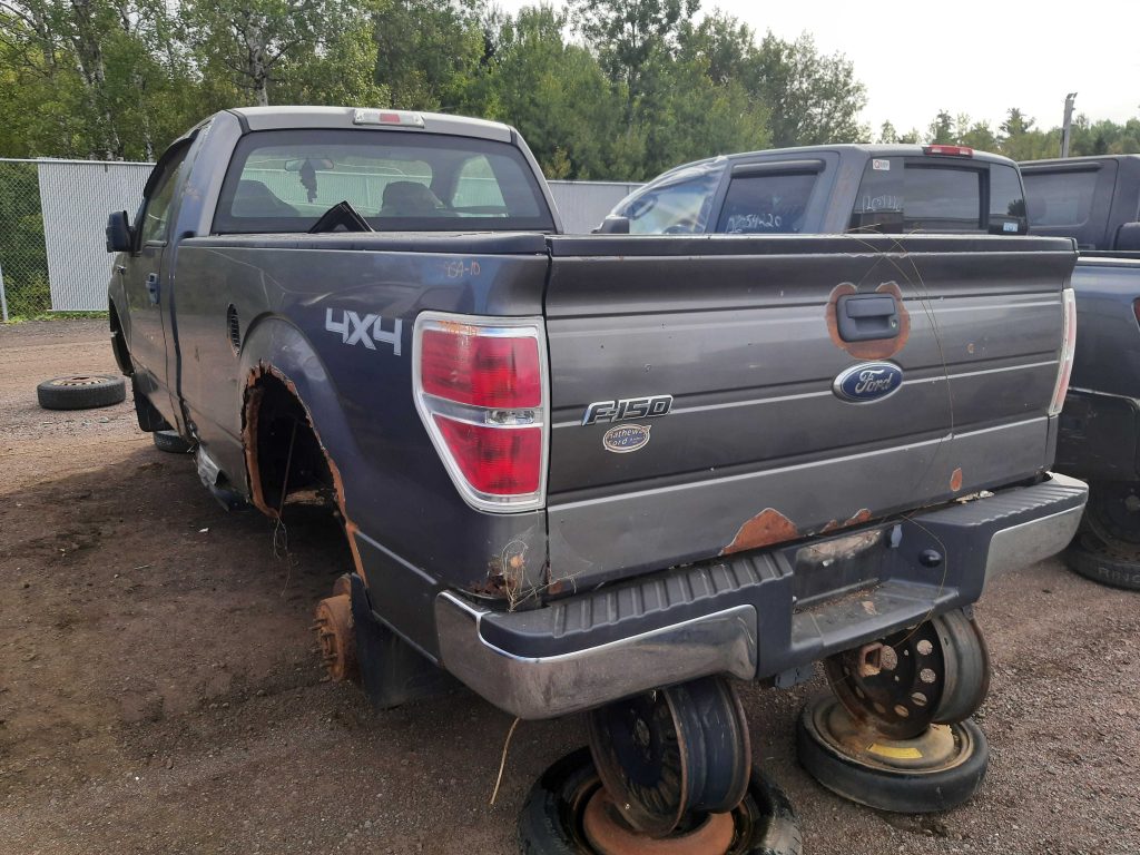 FORD F-150 2010