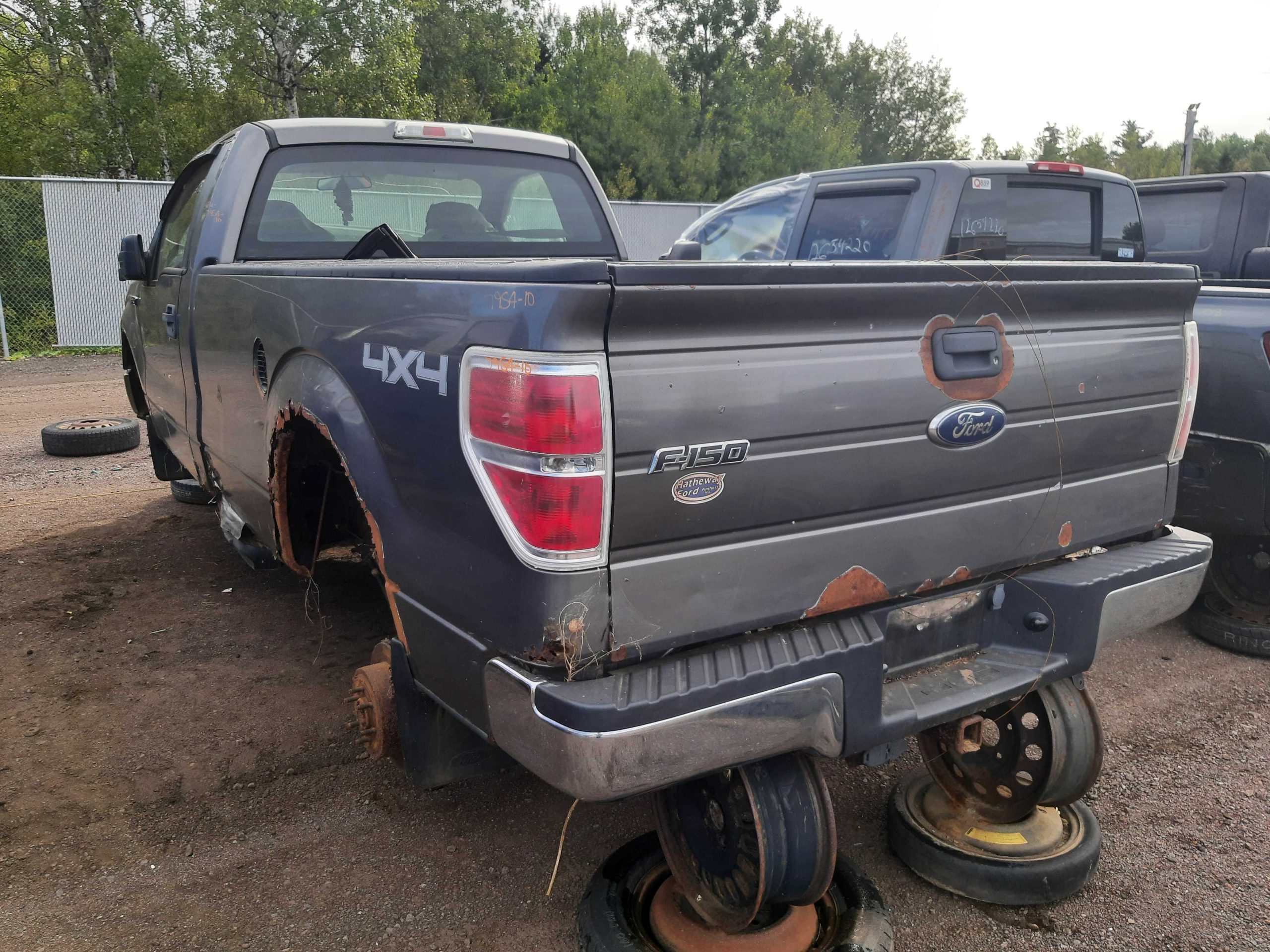 FORD F-150 2010