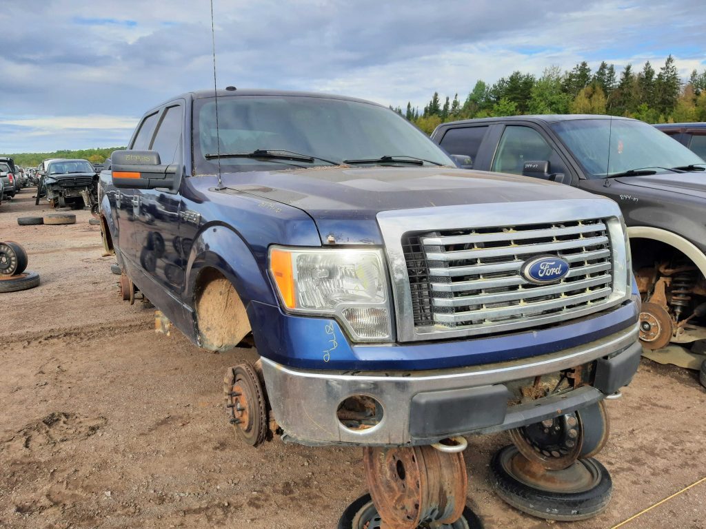 FORD F-150 2010