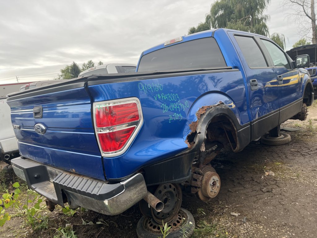 FORD F-150 2010