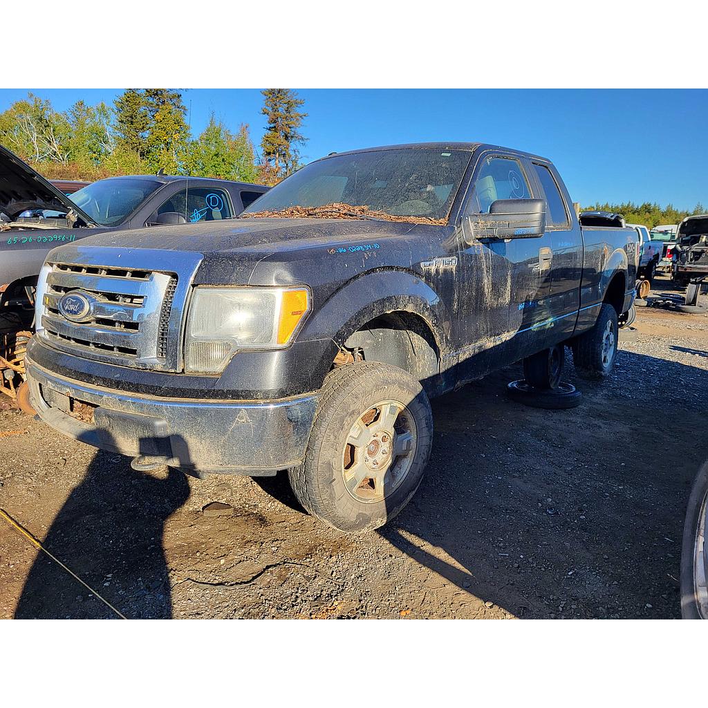 FORD F-150 2010
