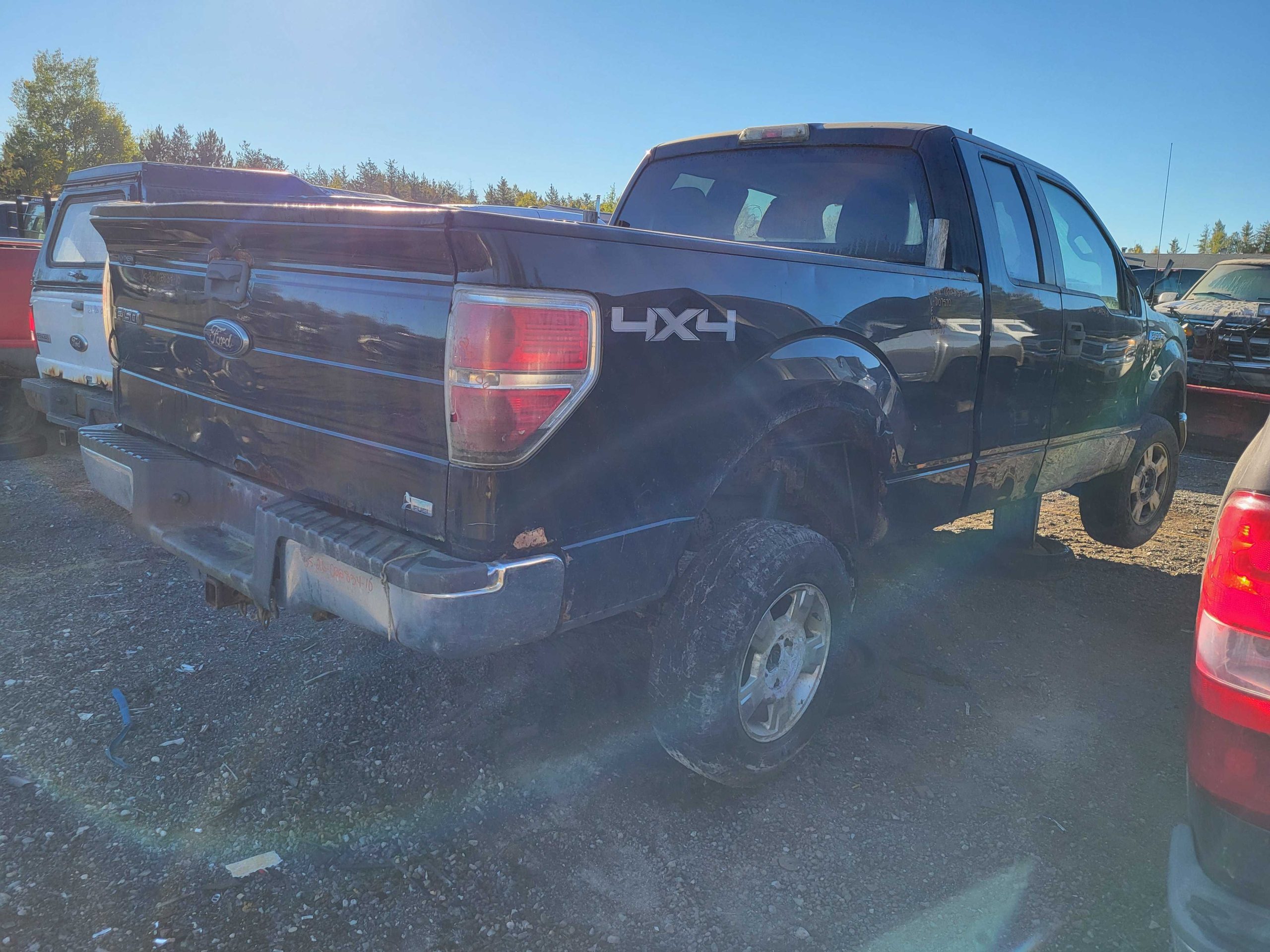 FORD F-150 2010