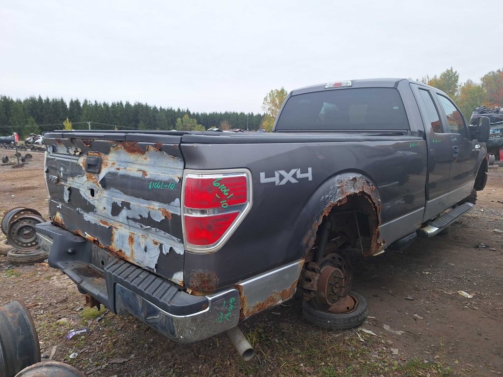 FORD F-150 2010