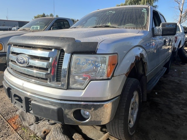 FORD F-150 2010