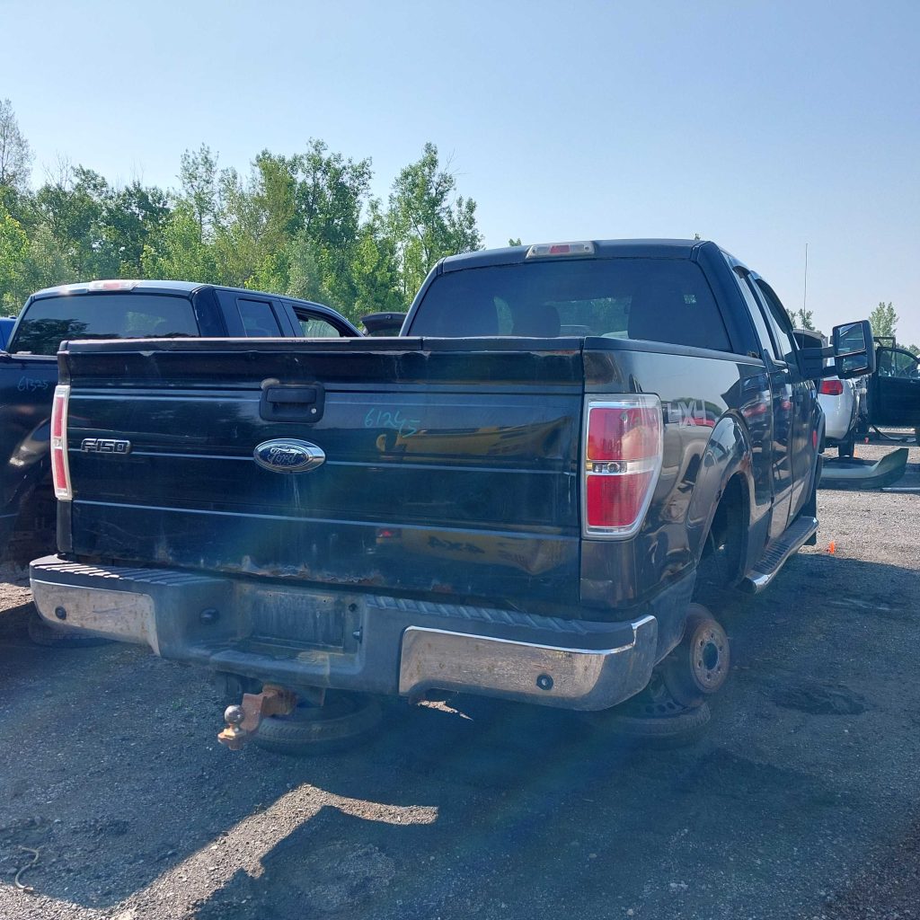 FORD F-150 2010