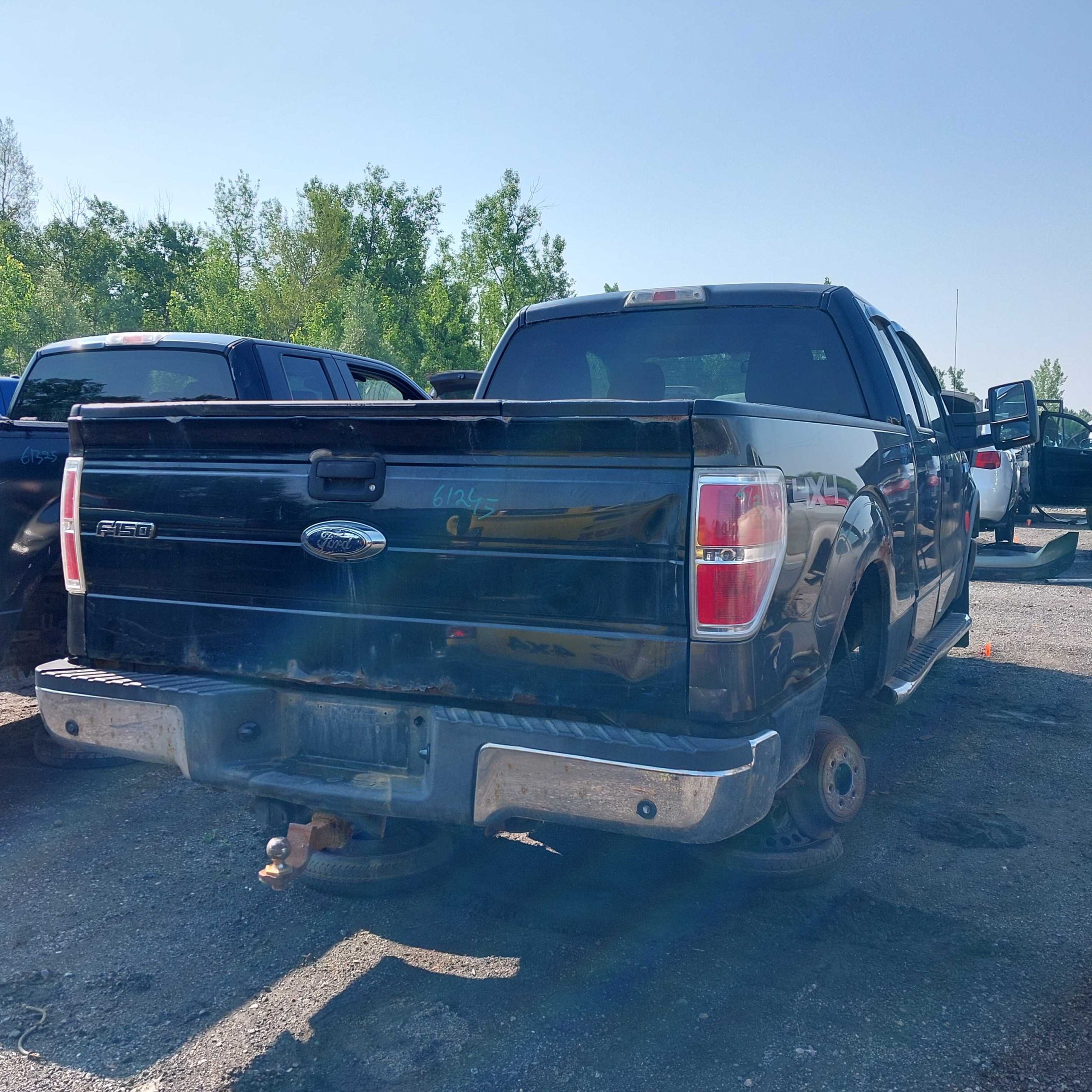 FORD F-150 2010