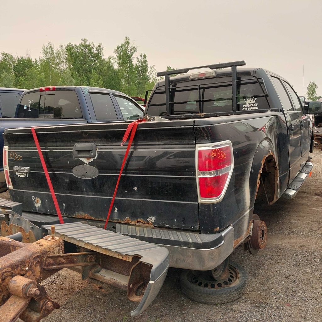 FORD F-150 2010