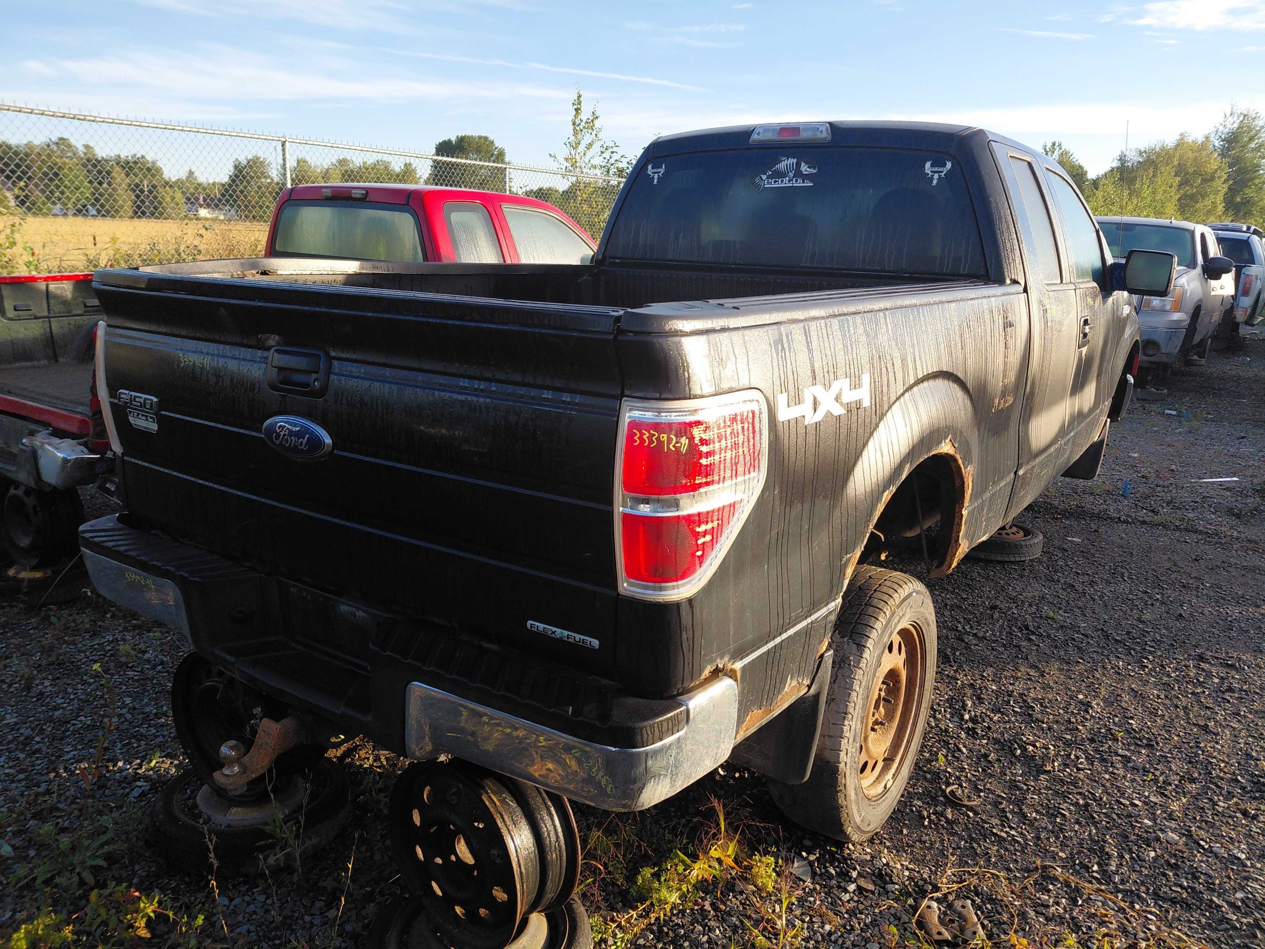 FORD F-150 2011