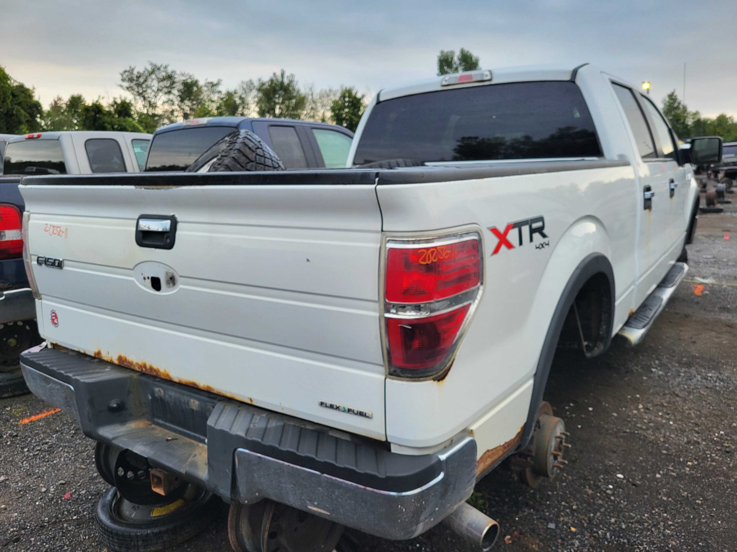 FORD F-150 2011