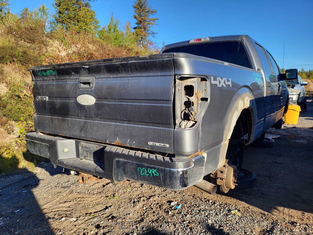 FORD F-150 2011