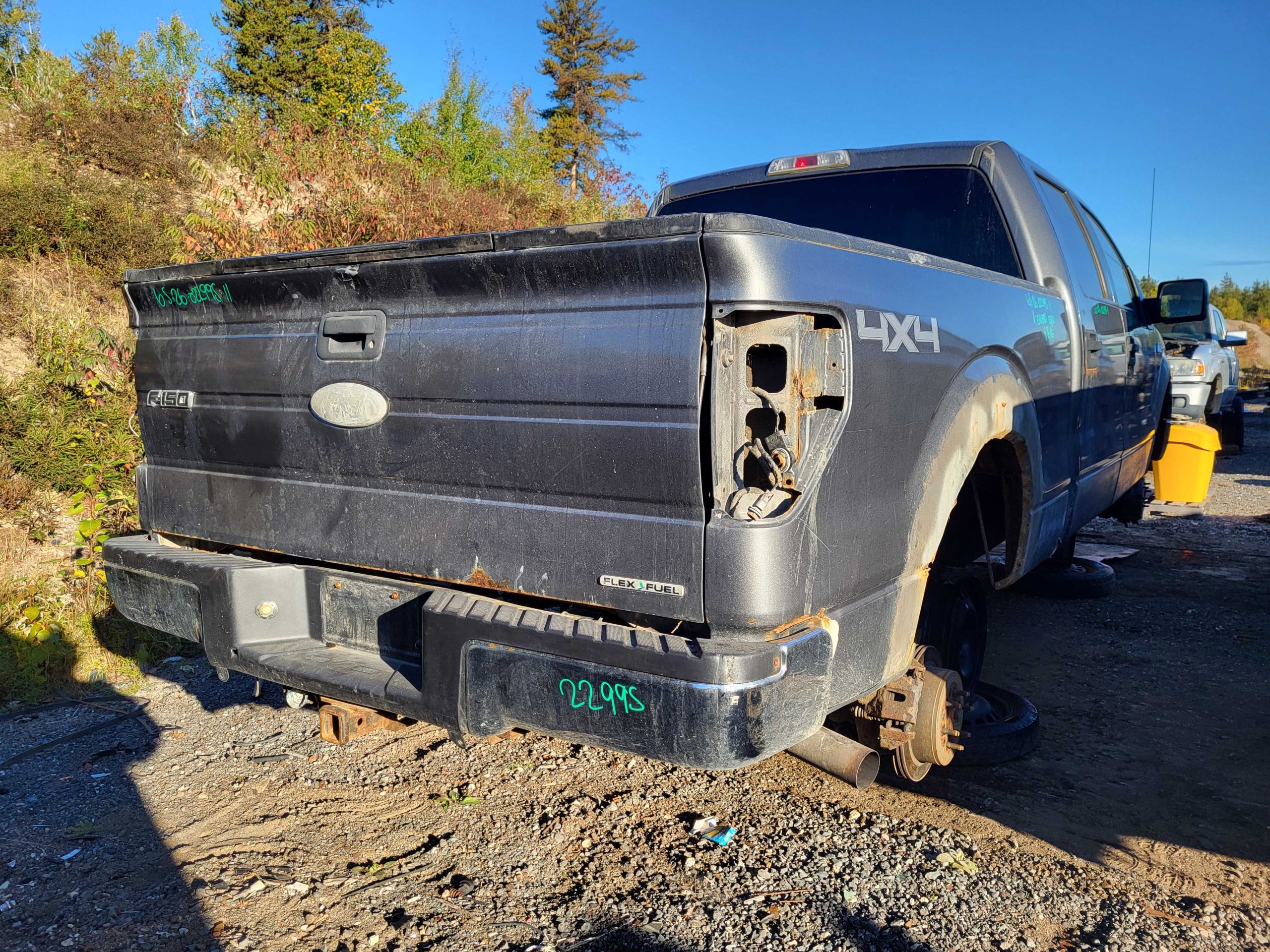 FORD F-150 2011