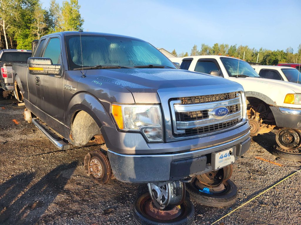 FORD F-150 2013