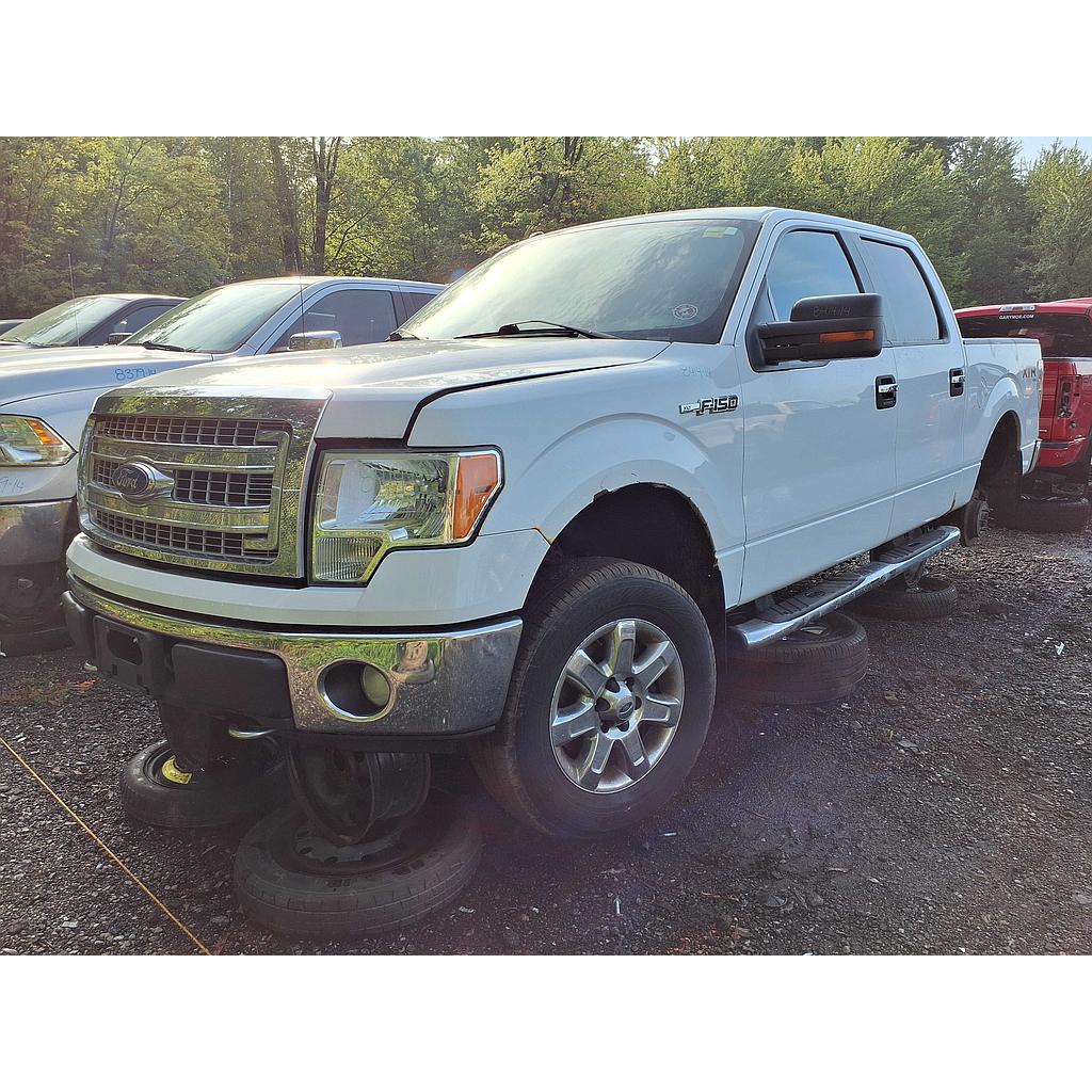 FORD F-150 2014