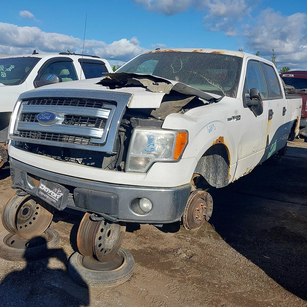 FORD F-150 2014