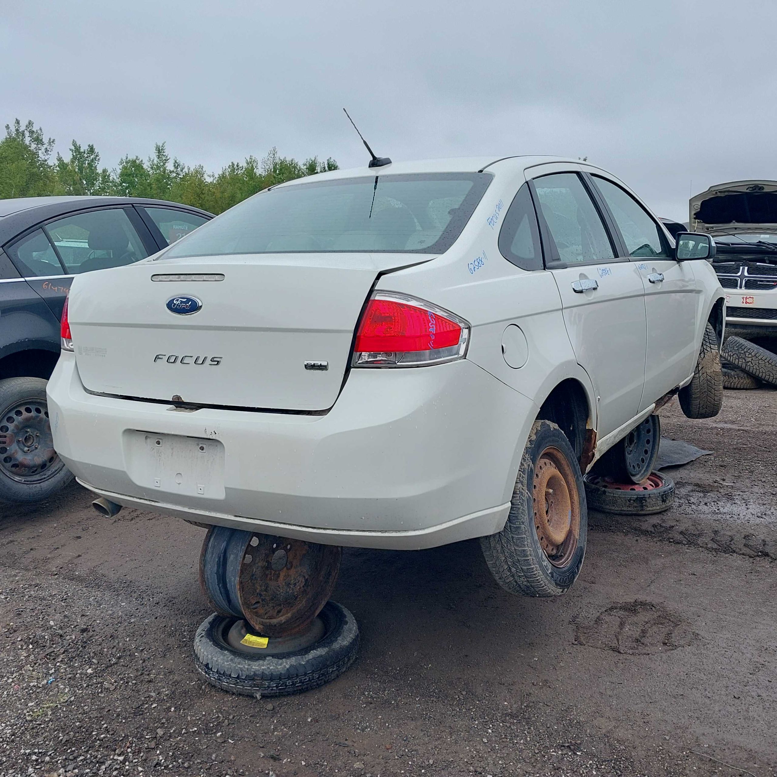 FORD FOCUS 2011