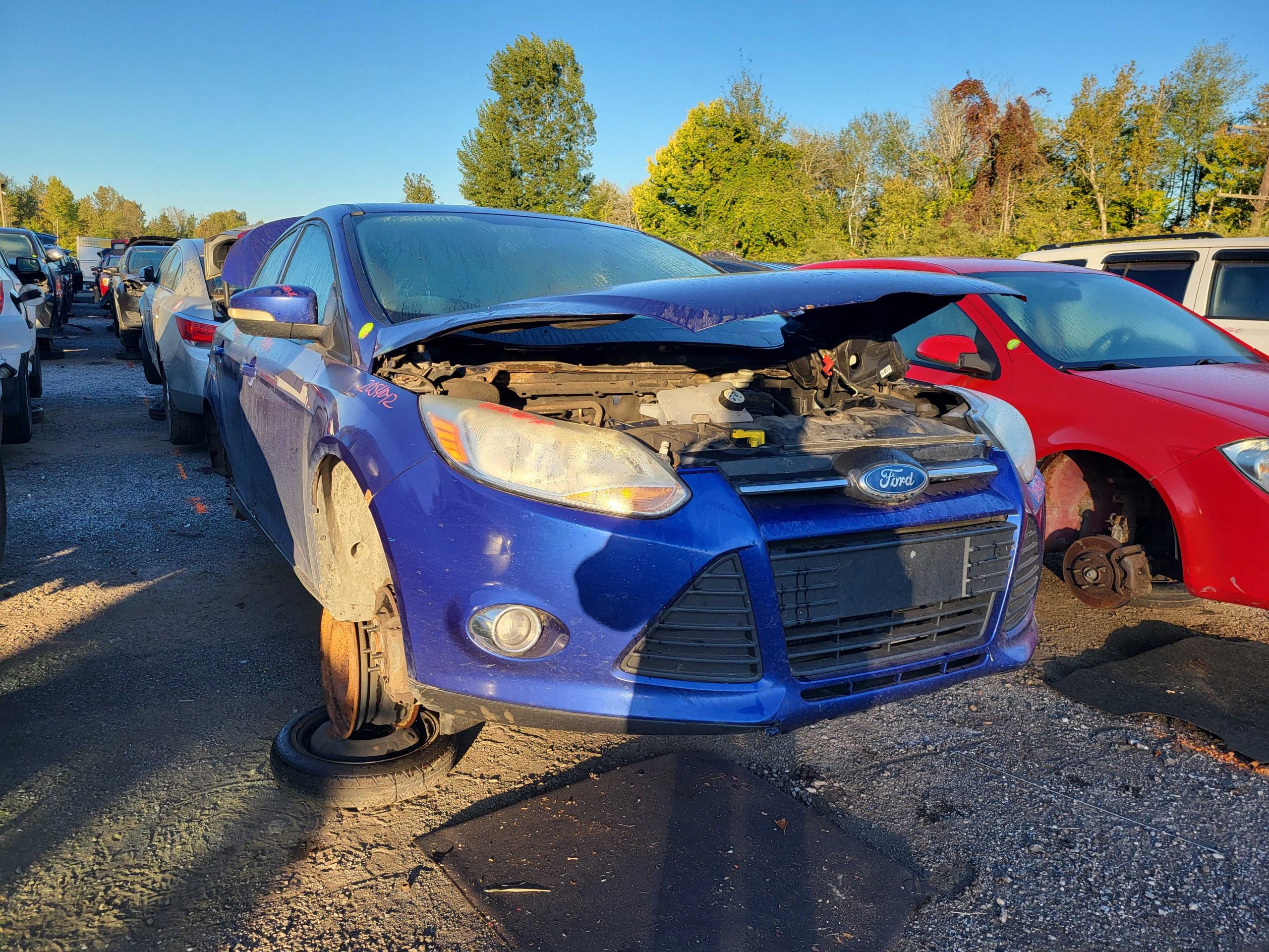 FORD FOCUS 2012