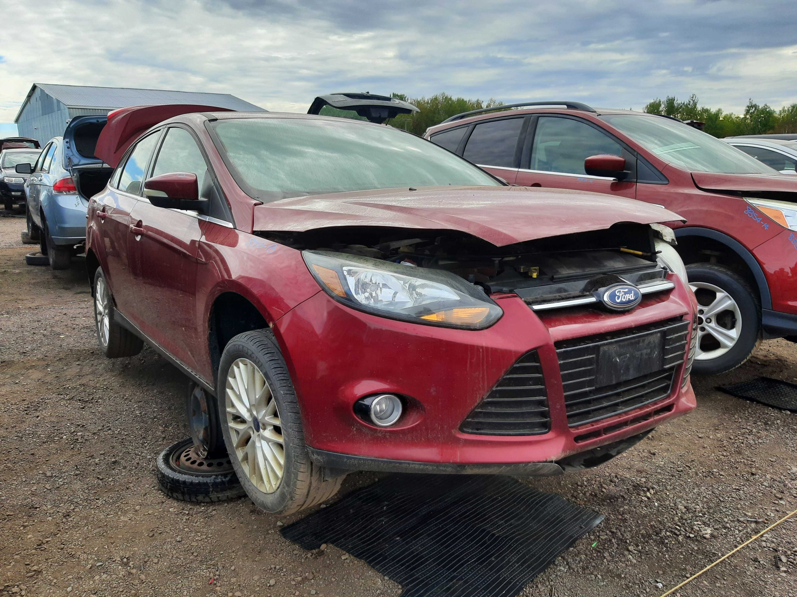 FORD FOCUS 2013