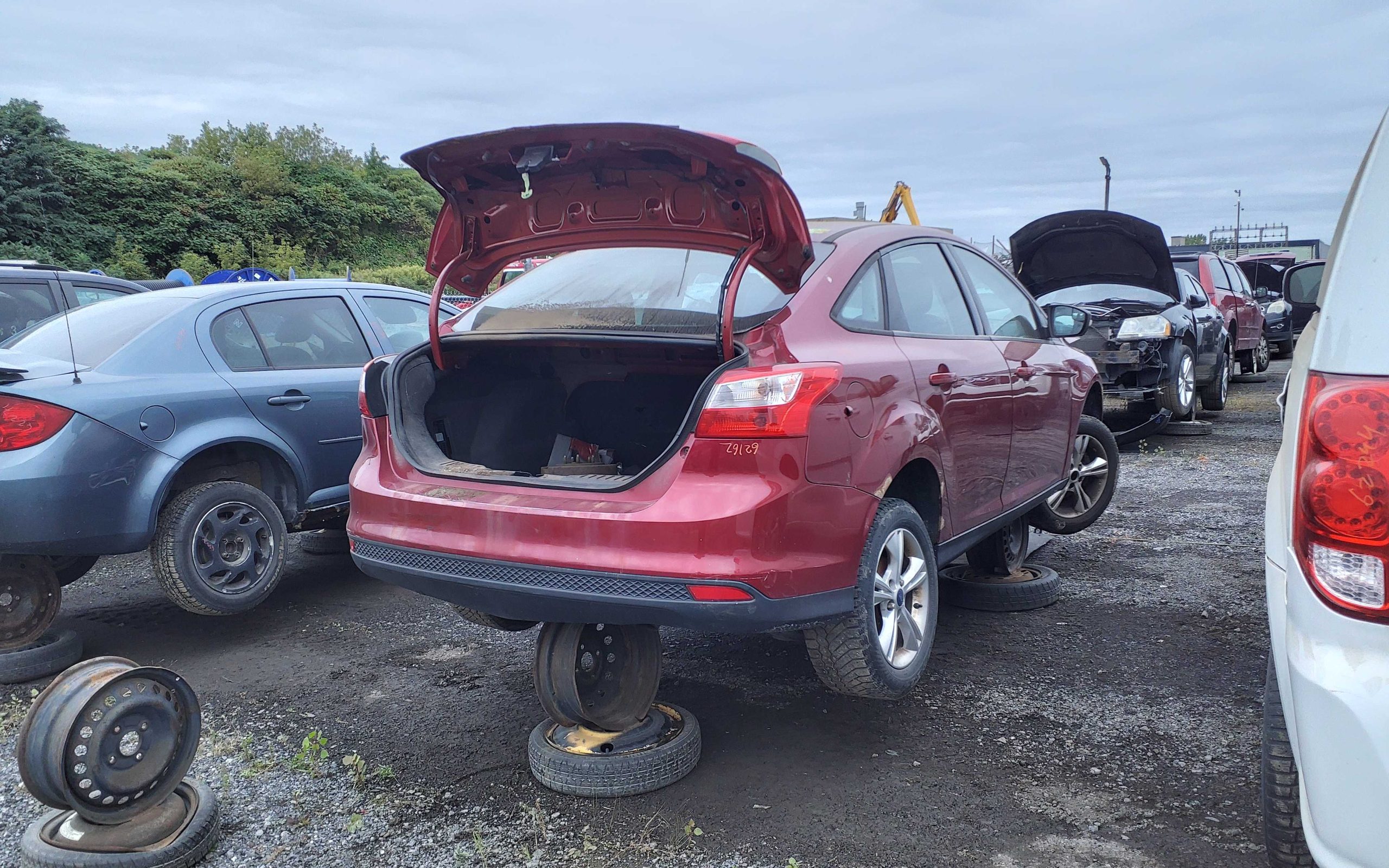 FORD FOCUS 2014