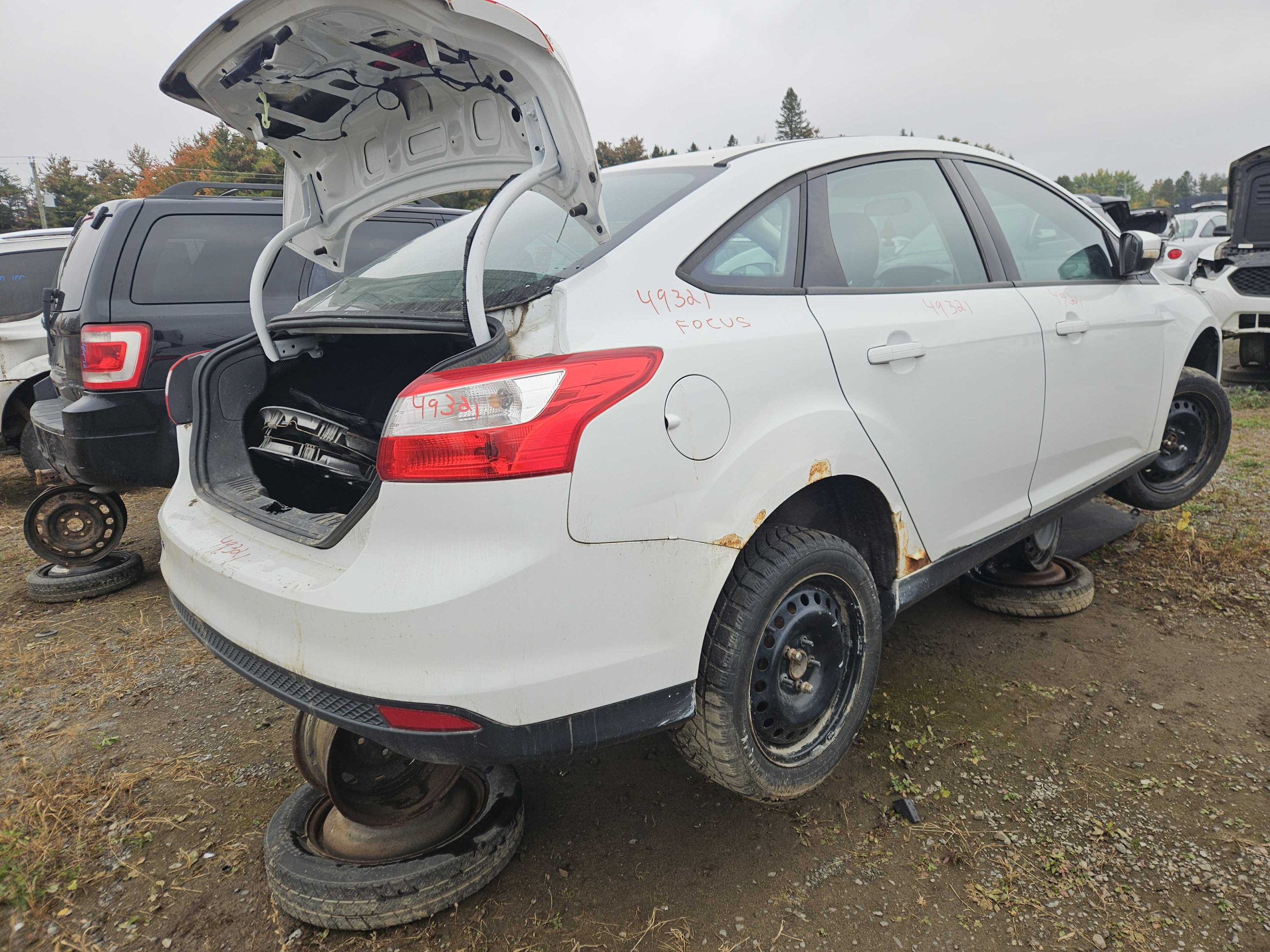 FORD FOCUS 2014