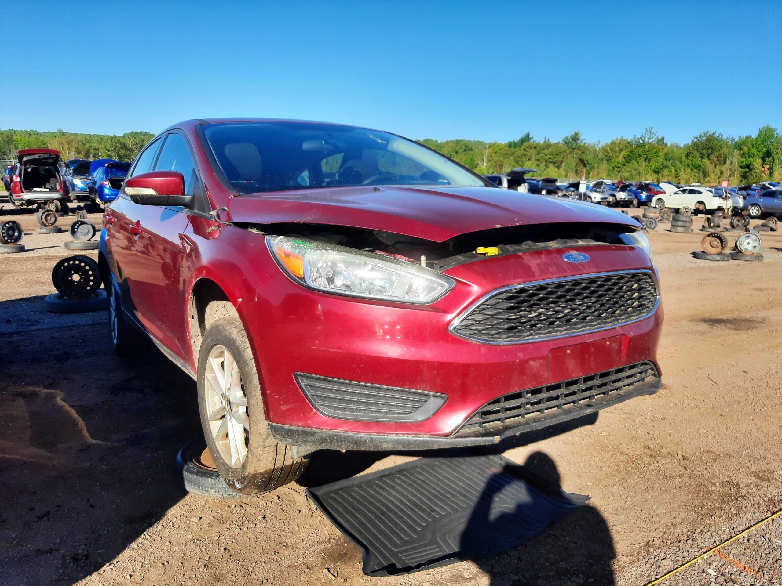 FORD FOCUS 2015