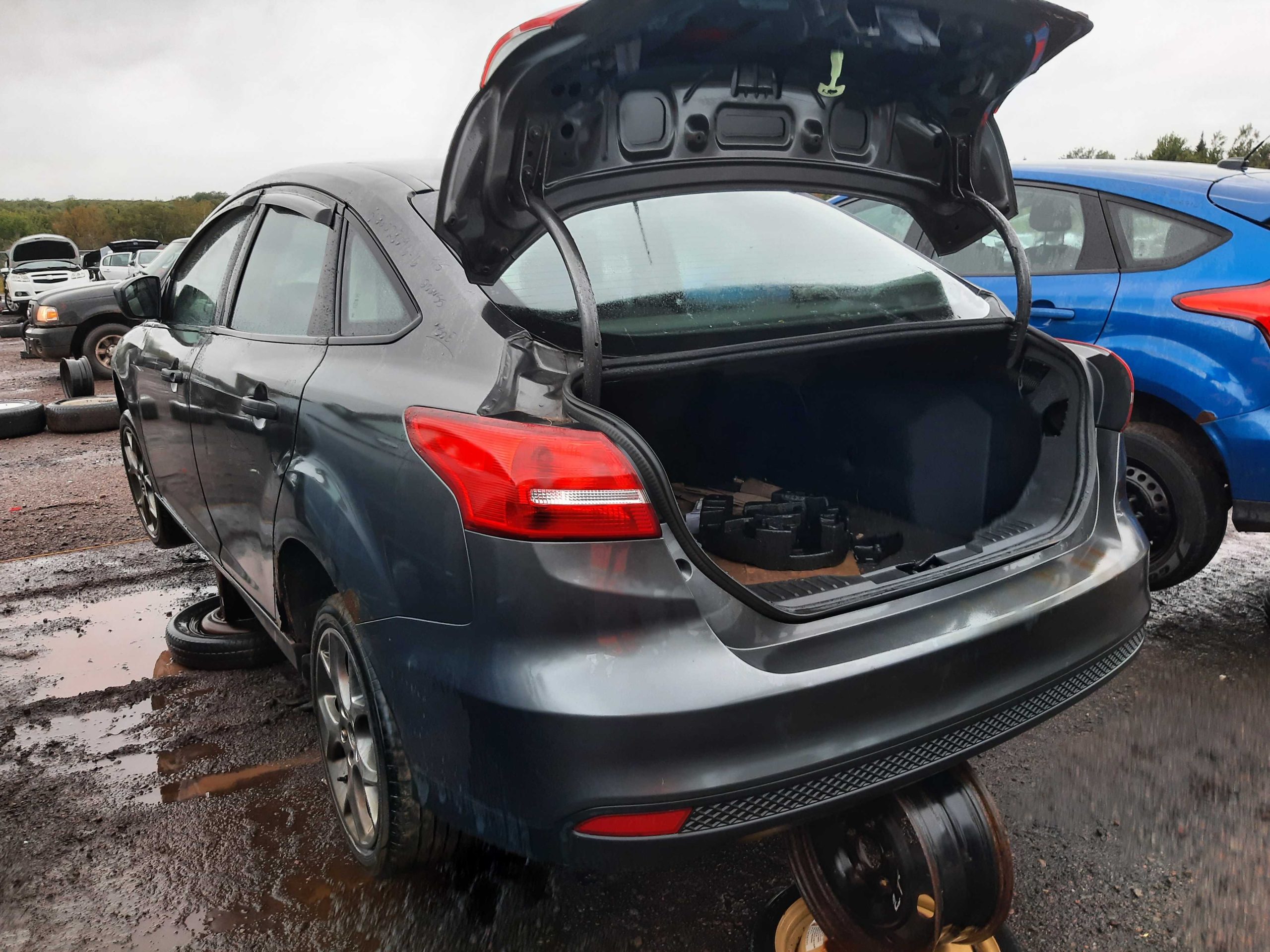 FORD FOCUS 2016