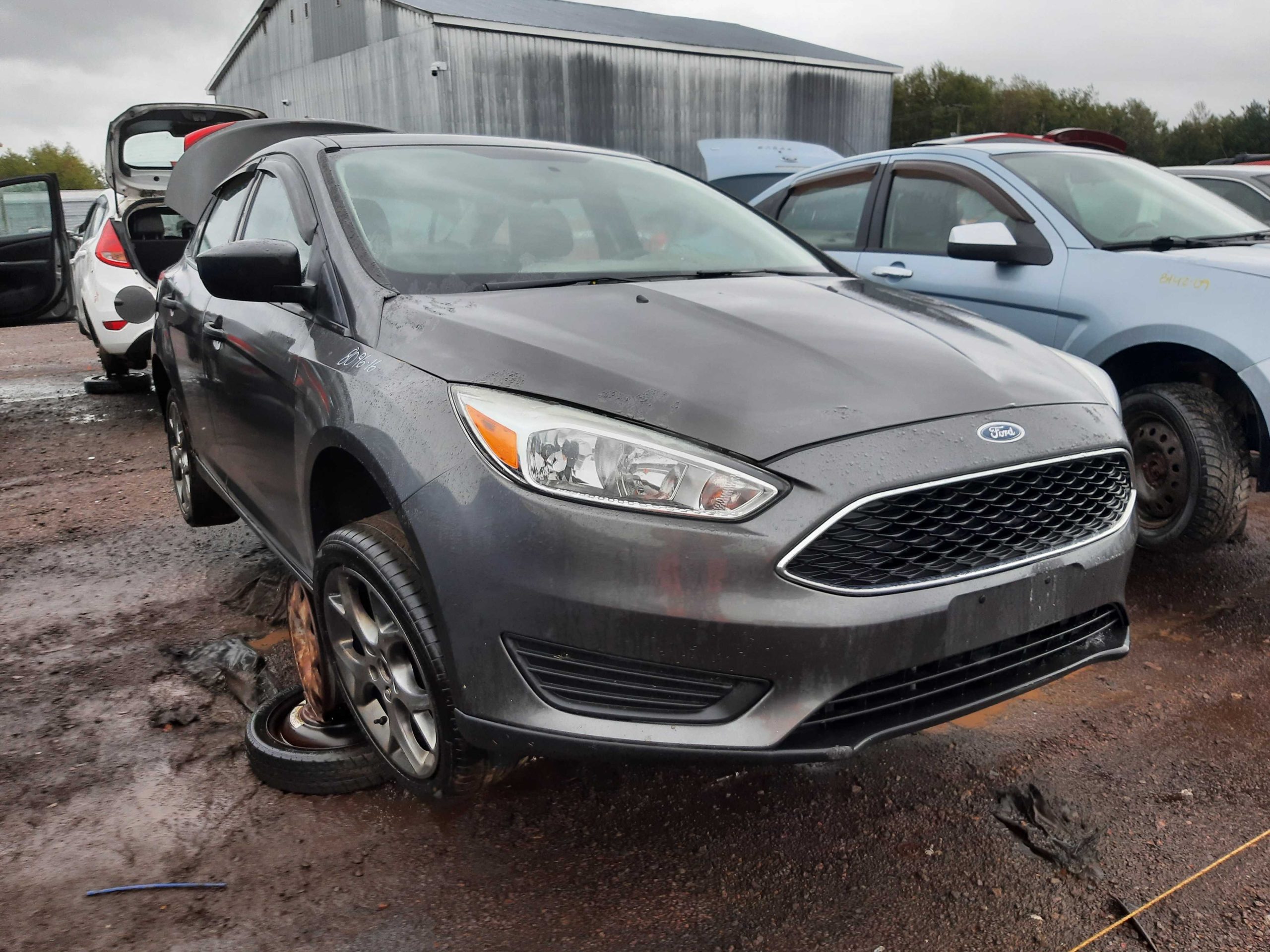 FORD FOCUS 2016