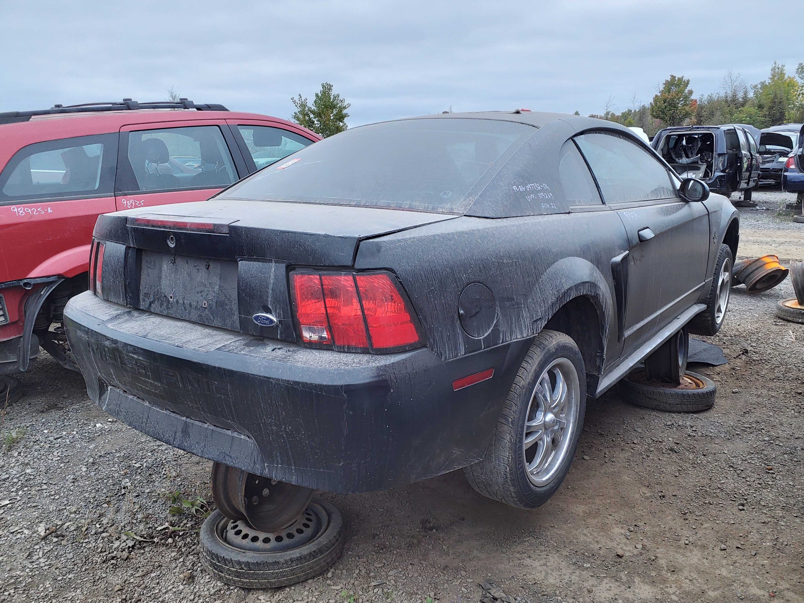 FORD MUSTANG 2004