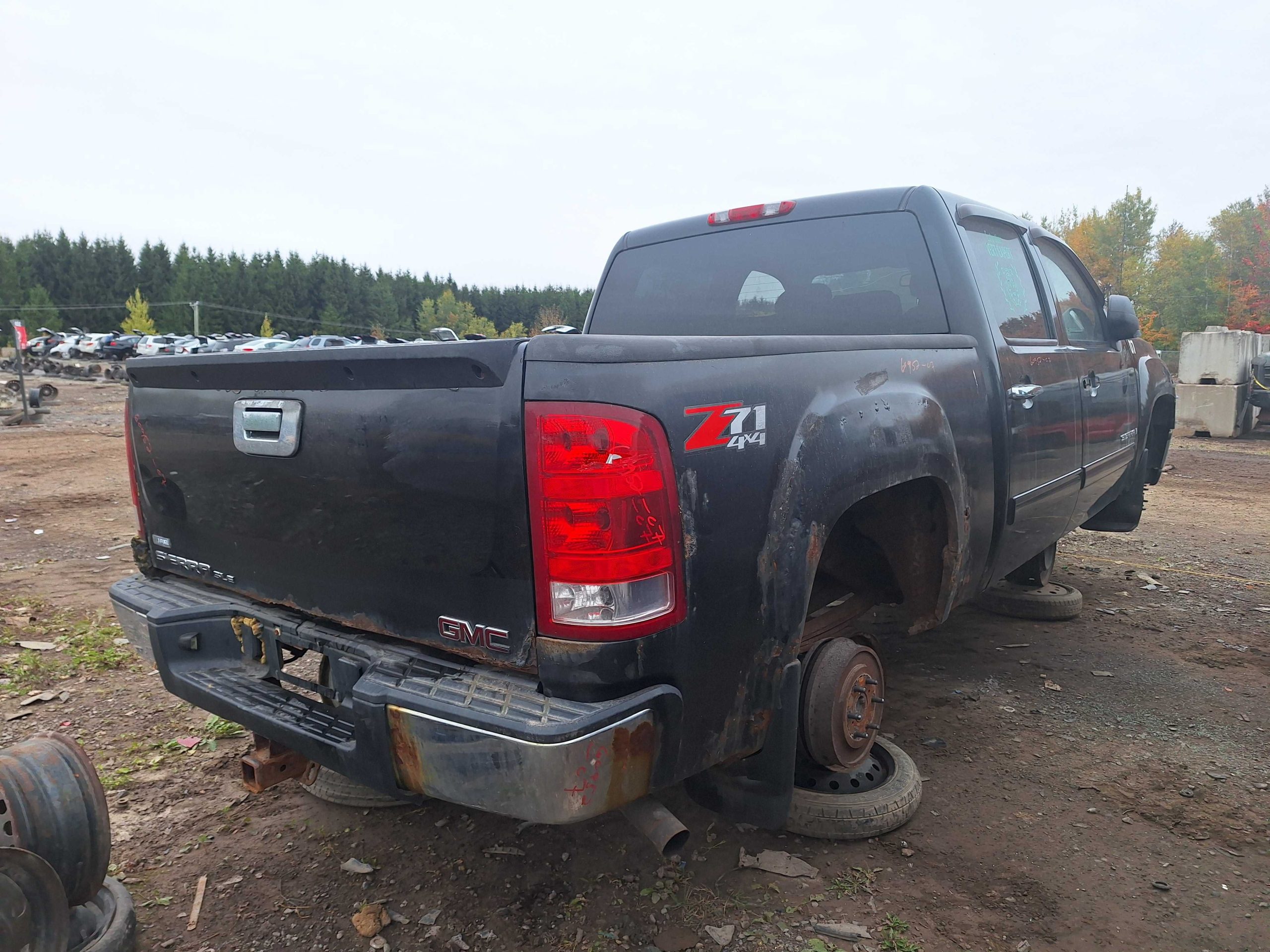 GMC SIERRA 1500 2007