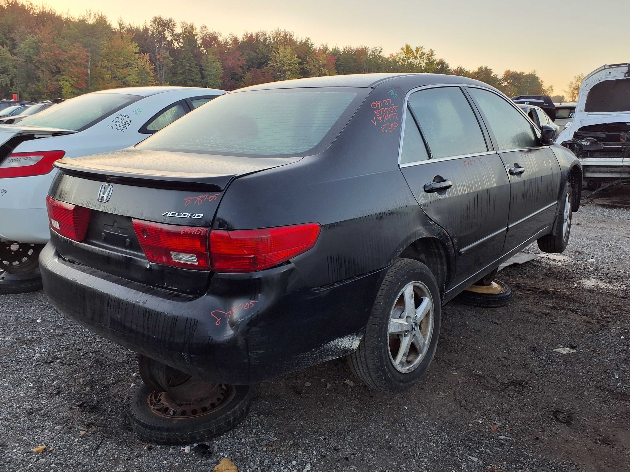 HONDA ACCORD 2005