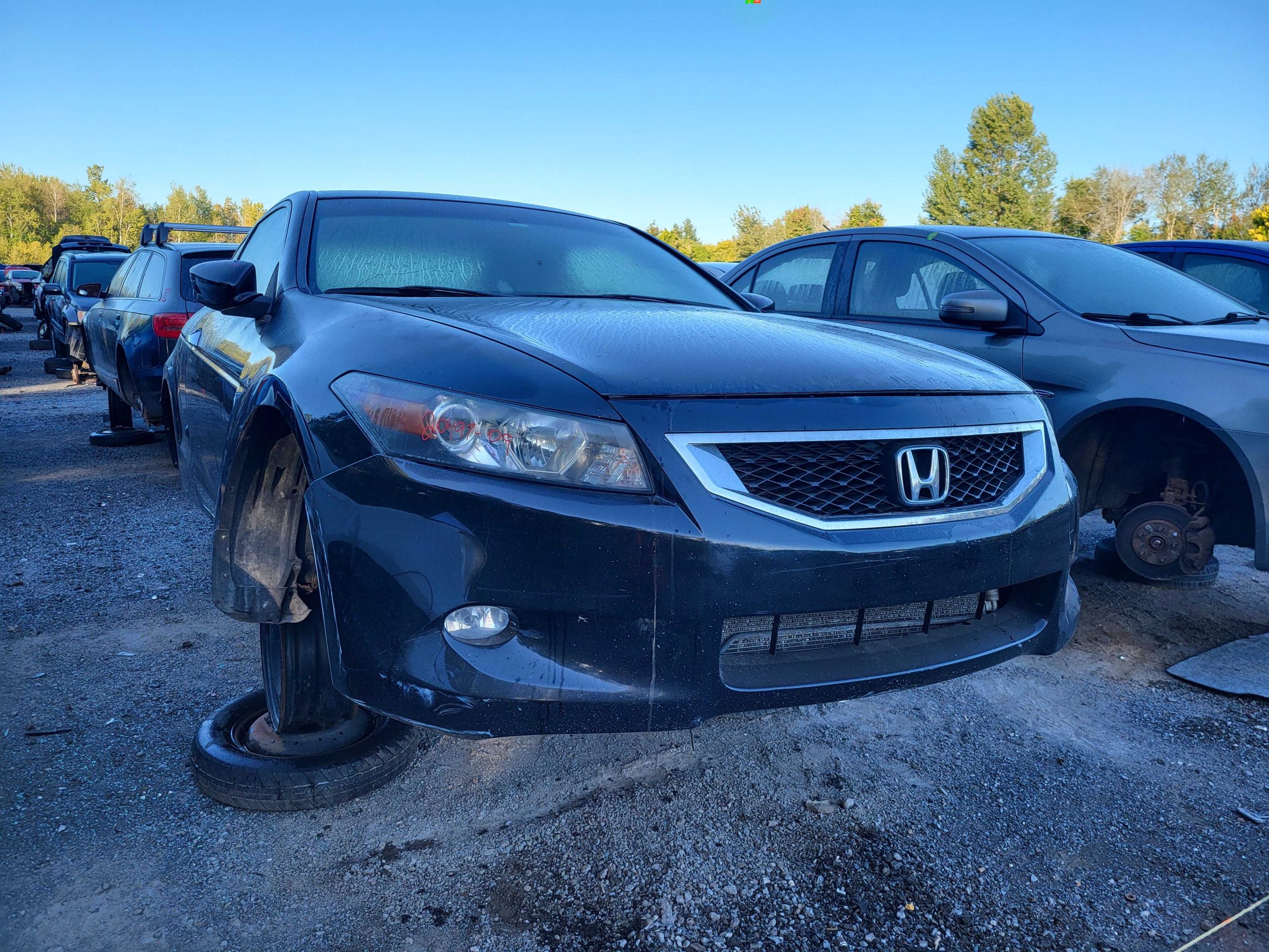 HONDA ACCORD 2009