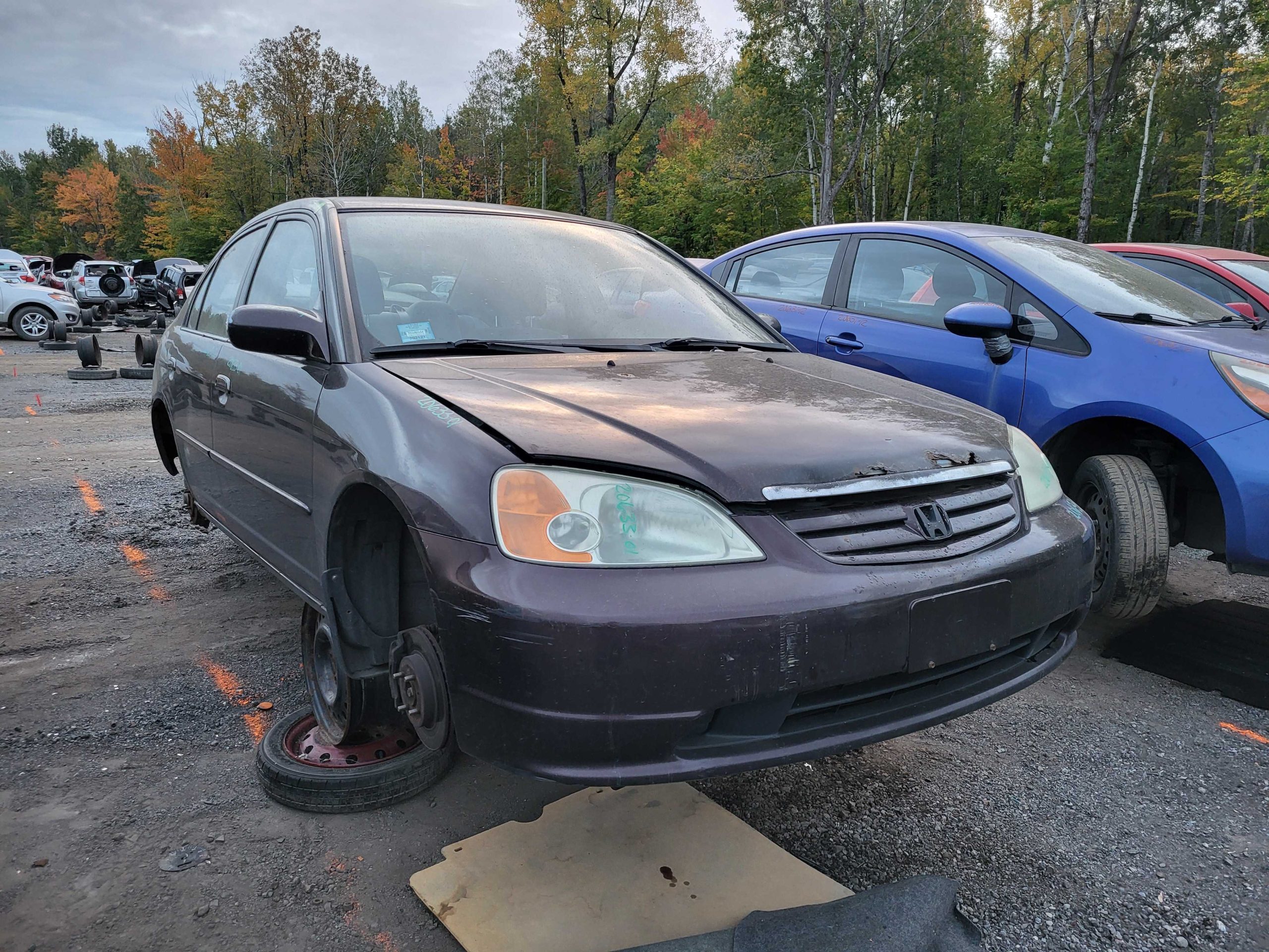 HONDA CIVIC 2001