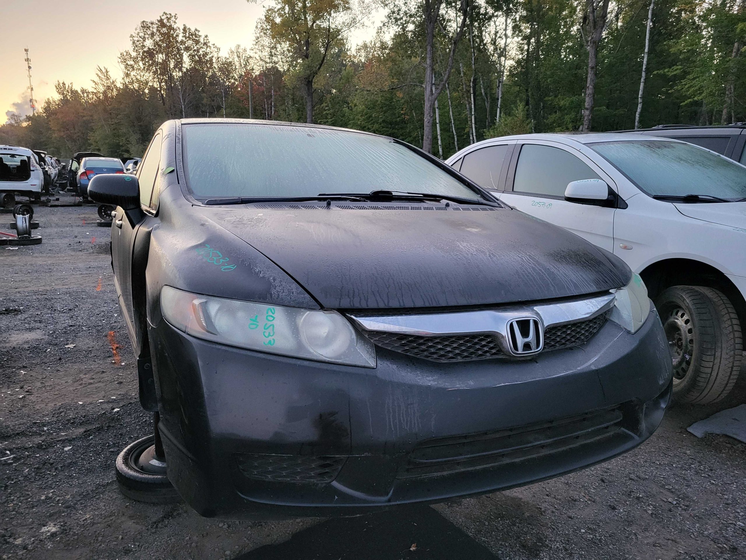 HONDA CIVIC 2010