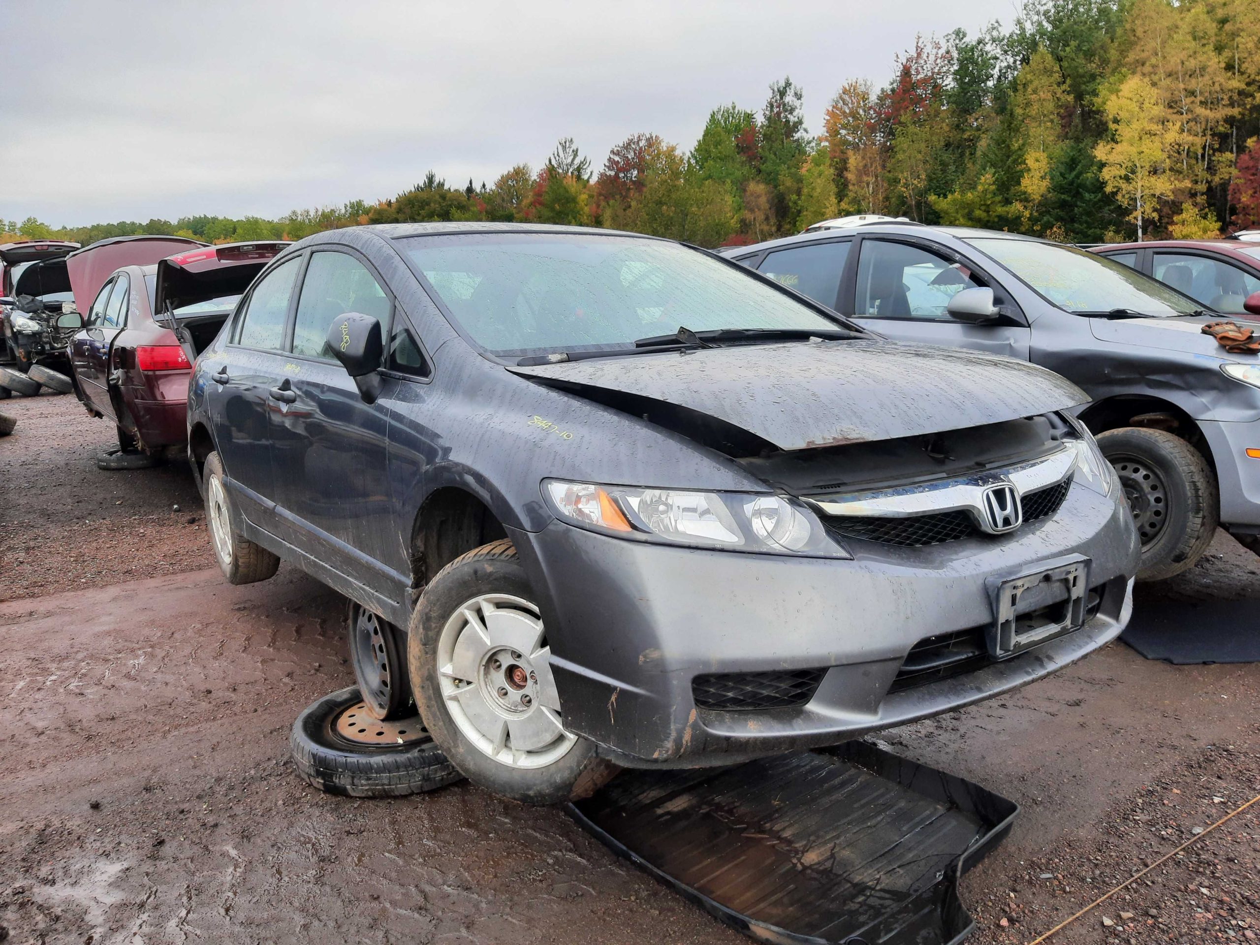 HONDA CIVIC 2010