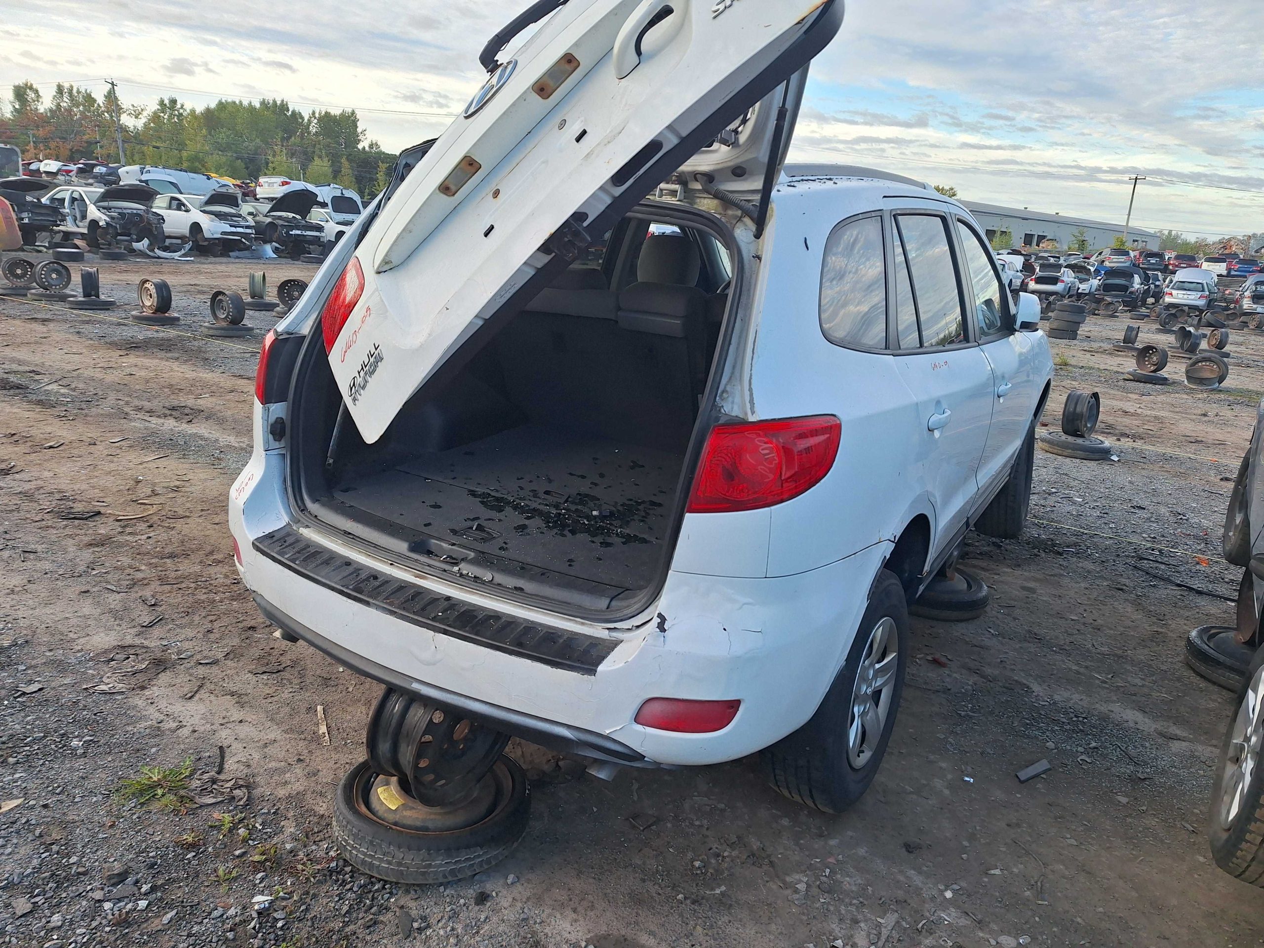 HYUNDAI SANTA FE 2009