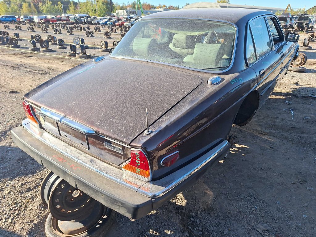 JAGUAR XJ12 1985