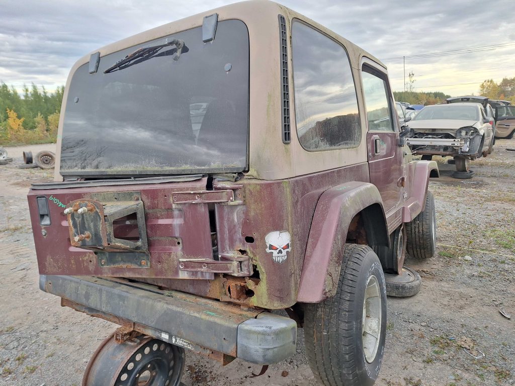 JEEP WRANGLER 2001